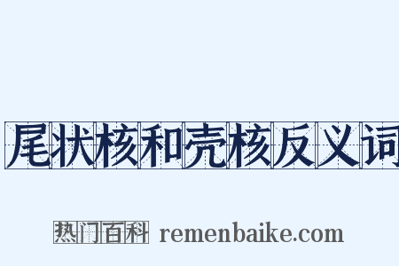 尾状核和壳核反义词是什么意思的图片